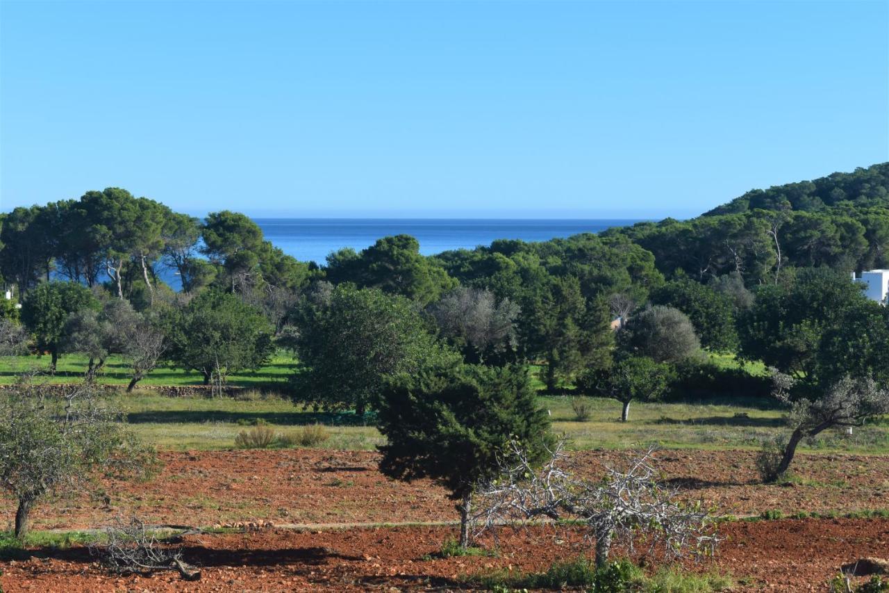 Vila Agroturismo Sa Marina - Adults Only Cala Boix Exteriér fotografie